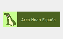 arca noah